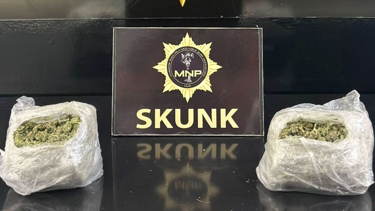Muş'ta Uyuşturucu Operasyonu: 351 Gram Skunk, 2 Şüpheli Tutuklandı