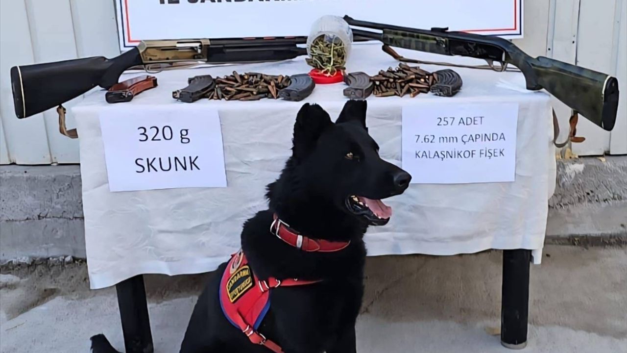 Muş Varto'da Uyuşturucu, Silah ve Mühimmat Ele Geçirildi