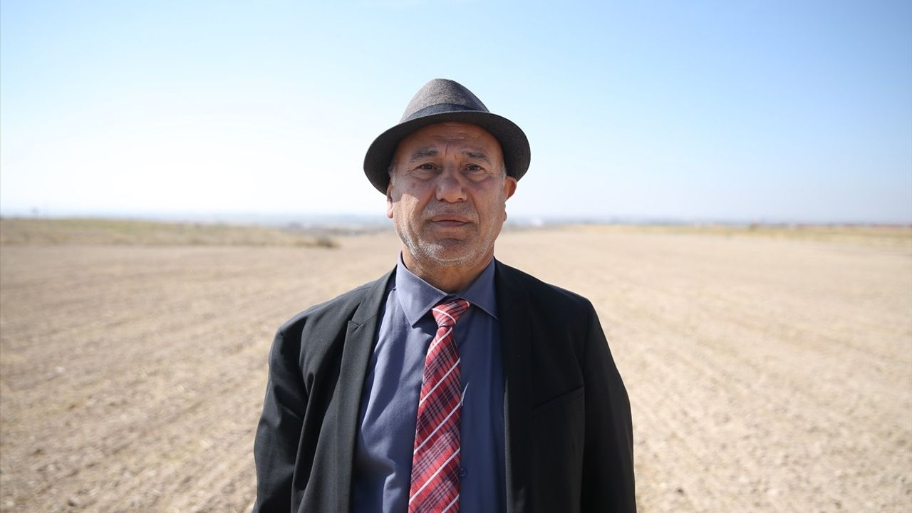 Niğde Ömer Halisdemir Üniversitesi'nde Korunga Ekimiyle Yem Üretimi Artıyor