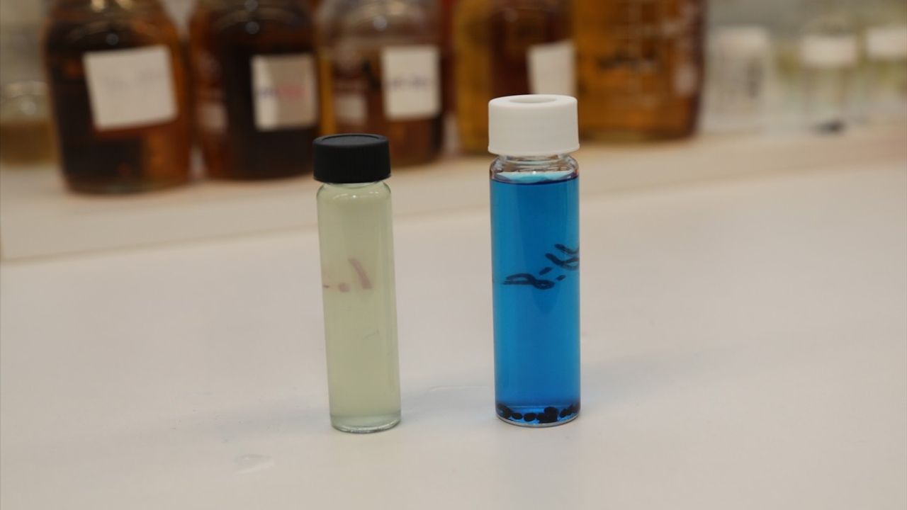 Nilüfer Çayı'ndaki Tekstil Kirliliğine Organik Çözüm: BTÜ'den Şeker Pancarı ve Deniz Yosunu