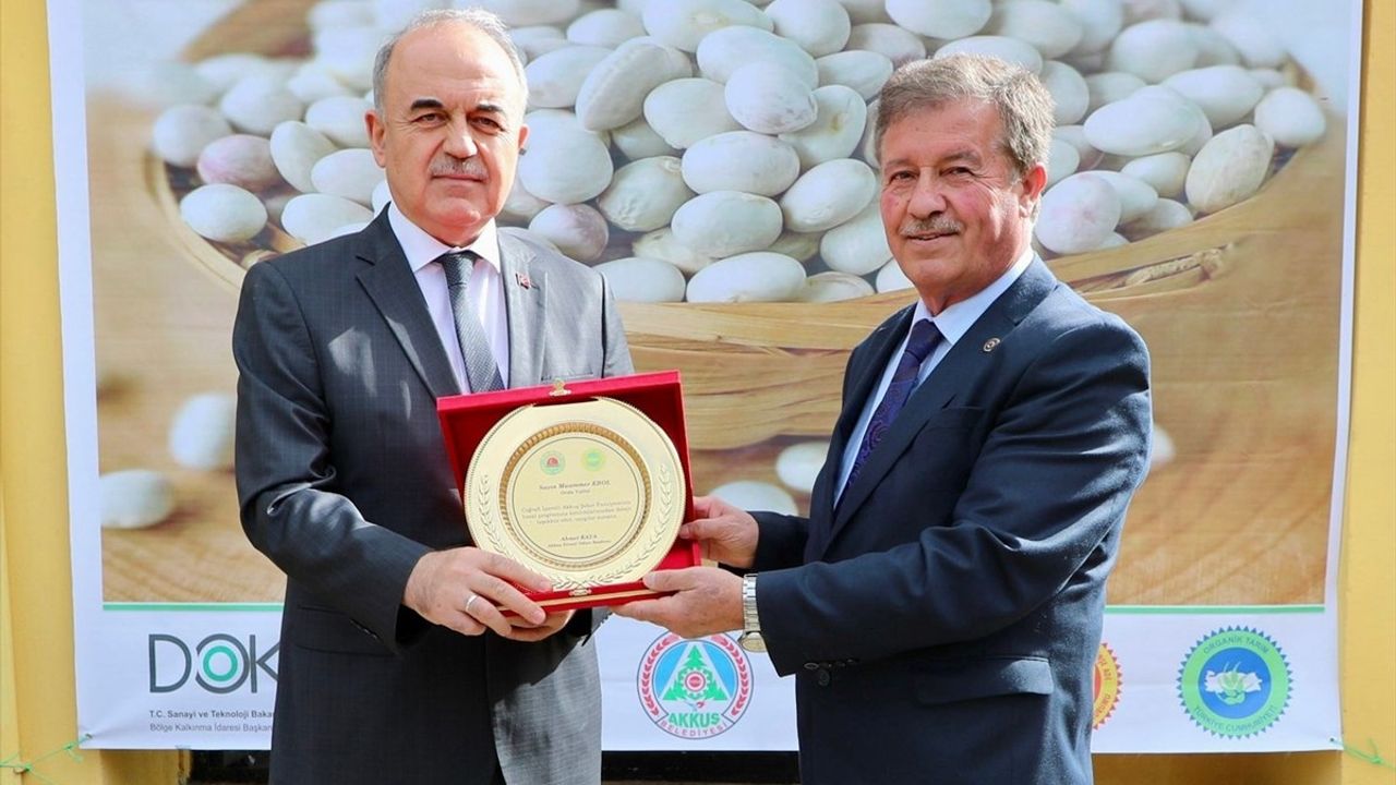 Ordu'da Coğrafi İşaretli Akkuş Şeker Fasulyesi Hasadı Başladı