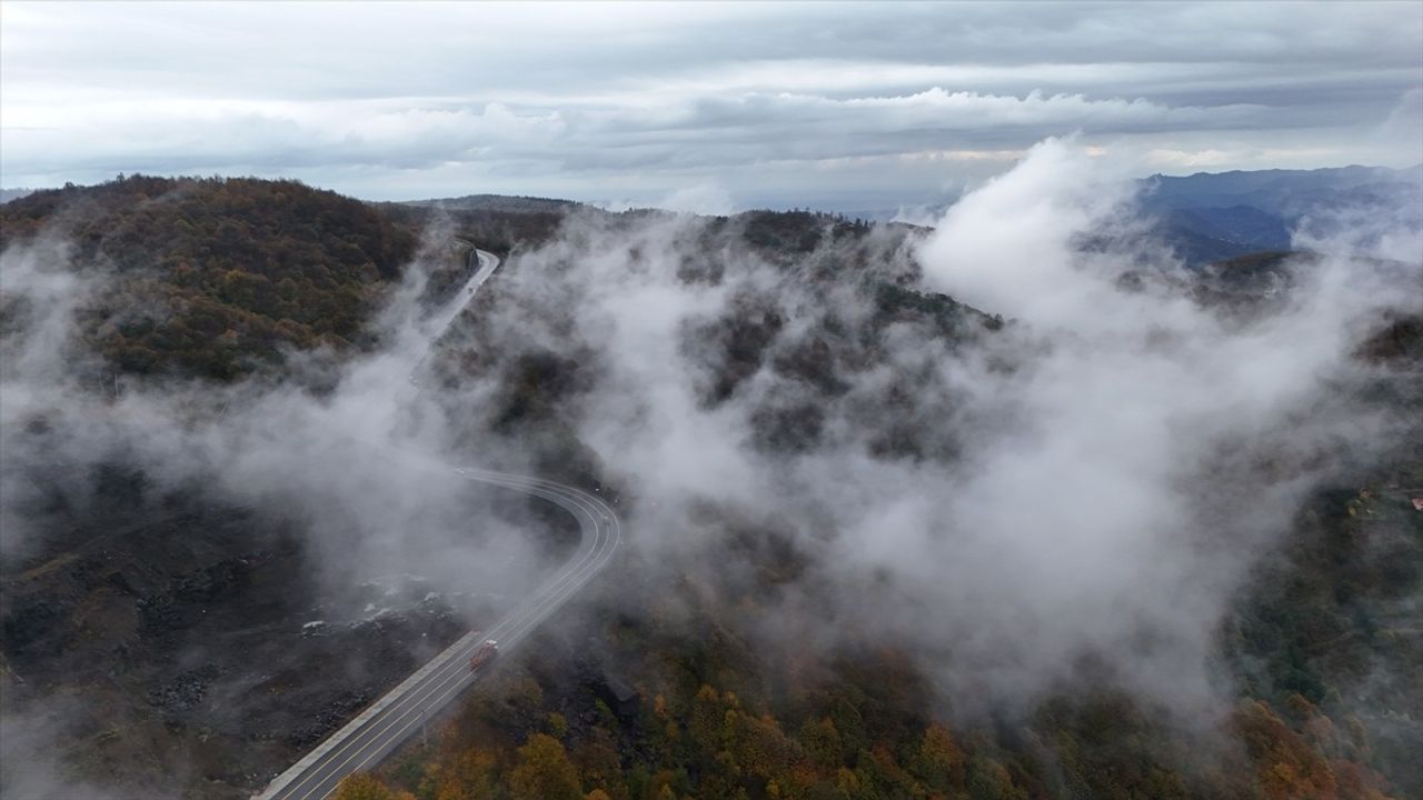 Ordu'da Sis ve Sonbahar Renkleri: Ulubey Sayacabaşı'nda Büyüleyici Manzara