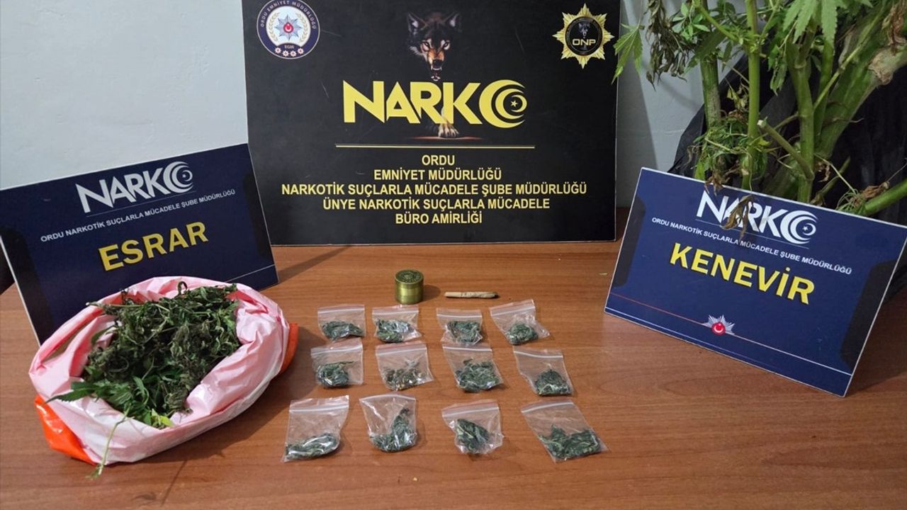 Ordu Ünye'de Uyuşturucu Operasyonunda 2 Zanlı Tutuklandı