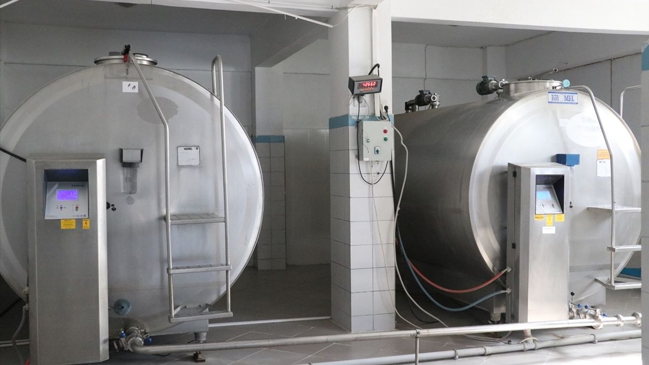 Sakarya'da kooperatif, yüzde 70 hibe ile süt üretimini artırmayı hedefliyor