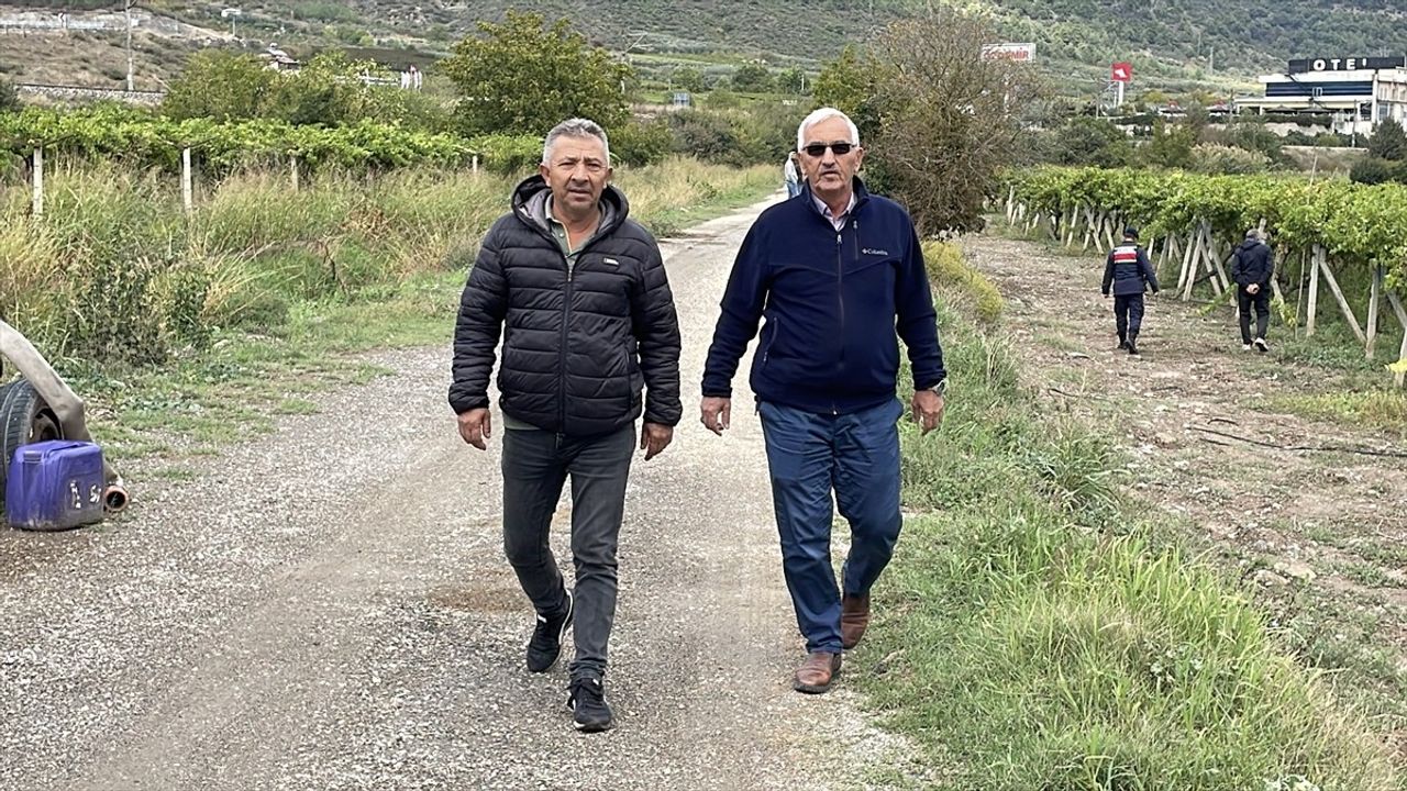 Sakarya'da üzüm üreticileri jandarma ile bahçede nöbet tutuyor