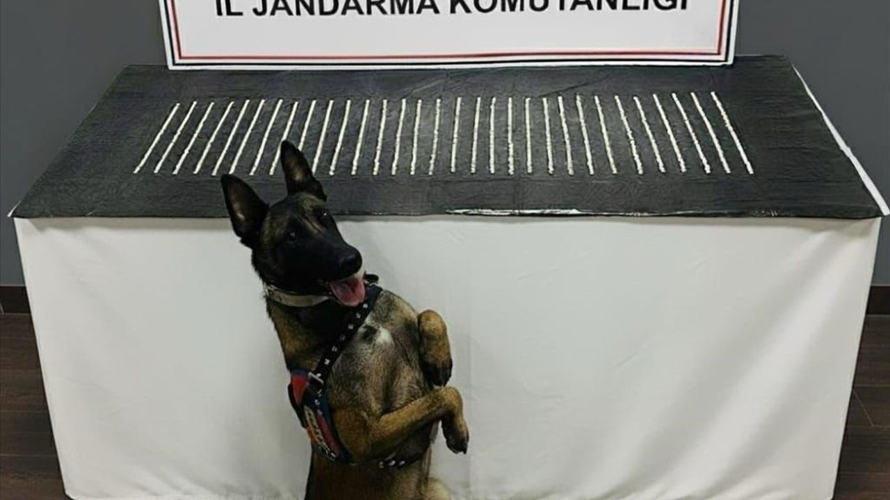 Şanlıurfa'da Uyuşturucu Operasyonu: 4 Şüpheli Gözaltına Alındı