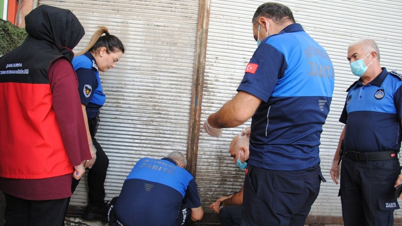 Şanlıurfa'da Yaklaşık 1 Ton Bozulmuş Et Ele Geçirildi