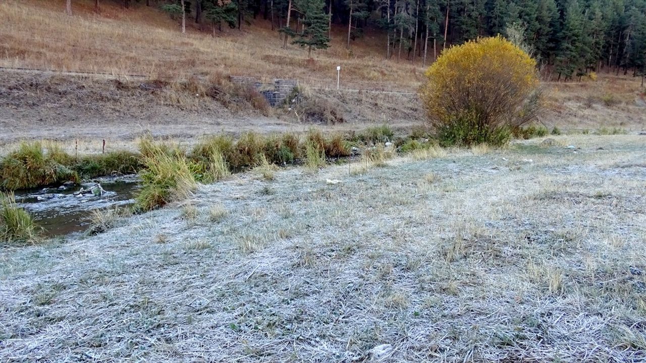 Sarıkamış'ta Kırağı Etkisi: Araç Camları ve Bitkiler Beyaza Büründü