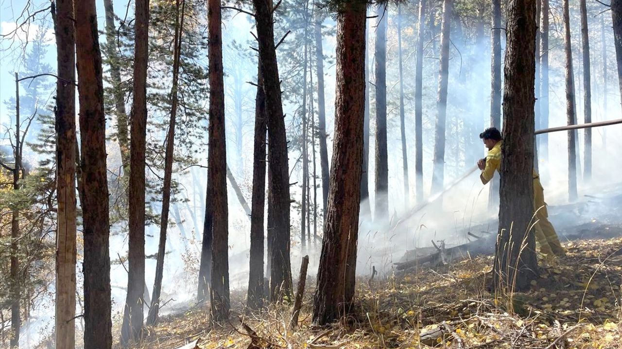 Sarıkamış'ta Orman Yangını: Mescitli'de Yaklaşık 1,5 Hektar Zarar