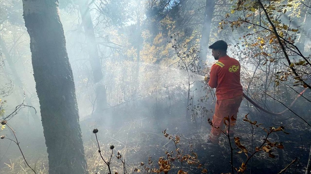 Sarıkamış'ta Orman Yangını Söndürüldü: Yaklaşık 1 Hektar Zarar
