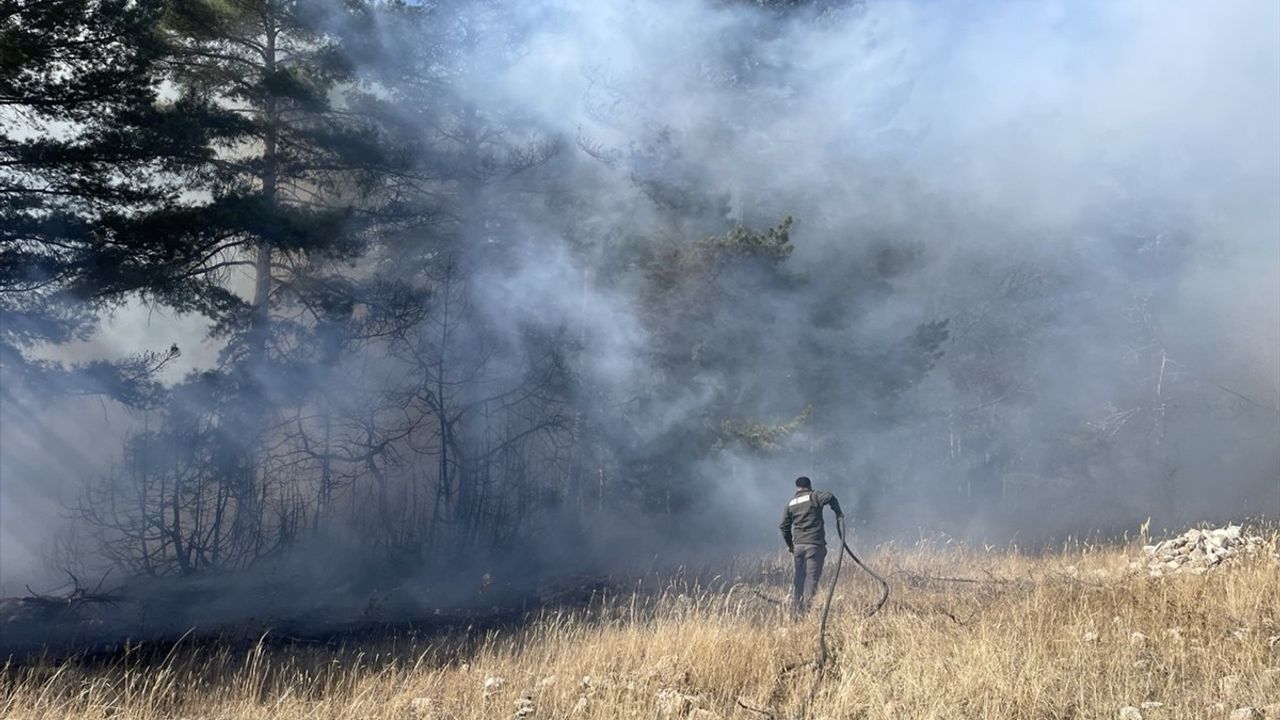 Sarıkamış'ta Orman Yangını: Yaklaşık 1 Hektar Zarar