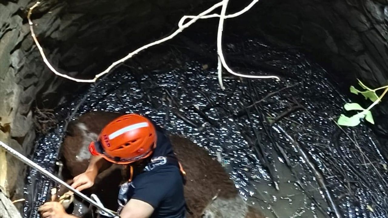 Siirt Baykan'da 8 Metrelik Su Kuyusuna Düşen İnek Kurtarıldı