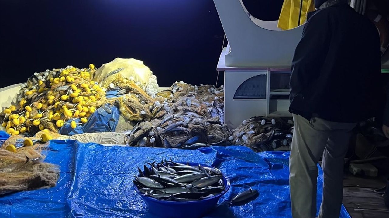 Sinop'ta balıkçılar bir gecede 3 bin 200 palamut avladı