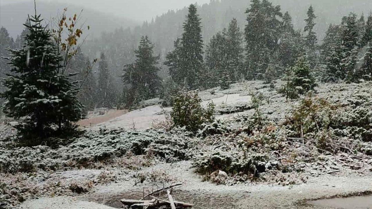 Sinop'ta Mevsimin İlk Karı: Hacıağaç Yaylası Beyaza Büründü