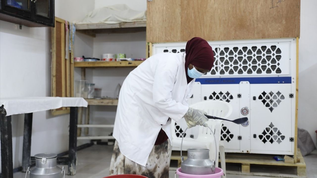 Somalili Kadınlar 'Dheef' Süt Fabrikasıyla Güçleniyor | SWDC'nin Başarısı