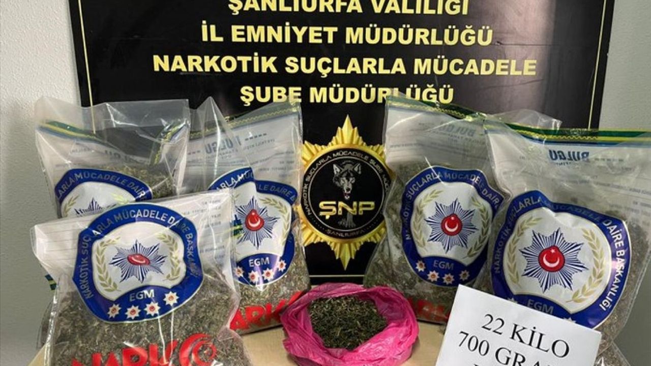 Suruç'ta Uyuşturucu Operasyonu: 22 kilo 700 gram esrar, 2 şüpheli gözaltında