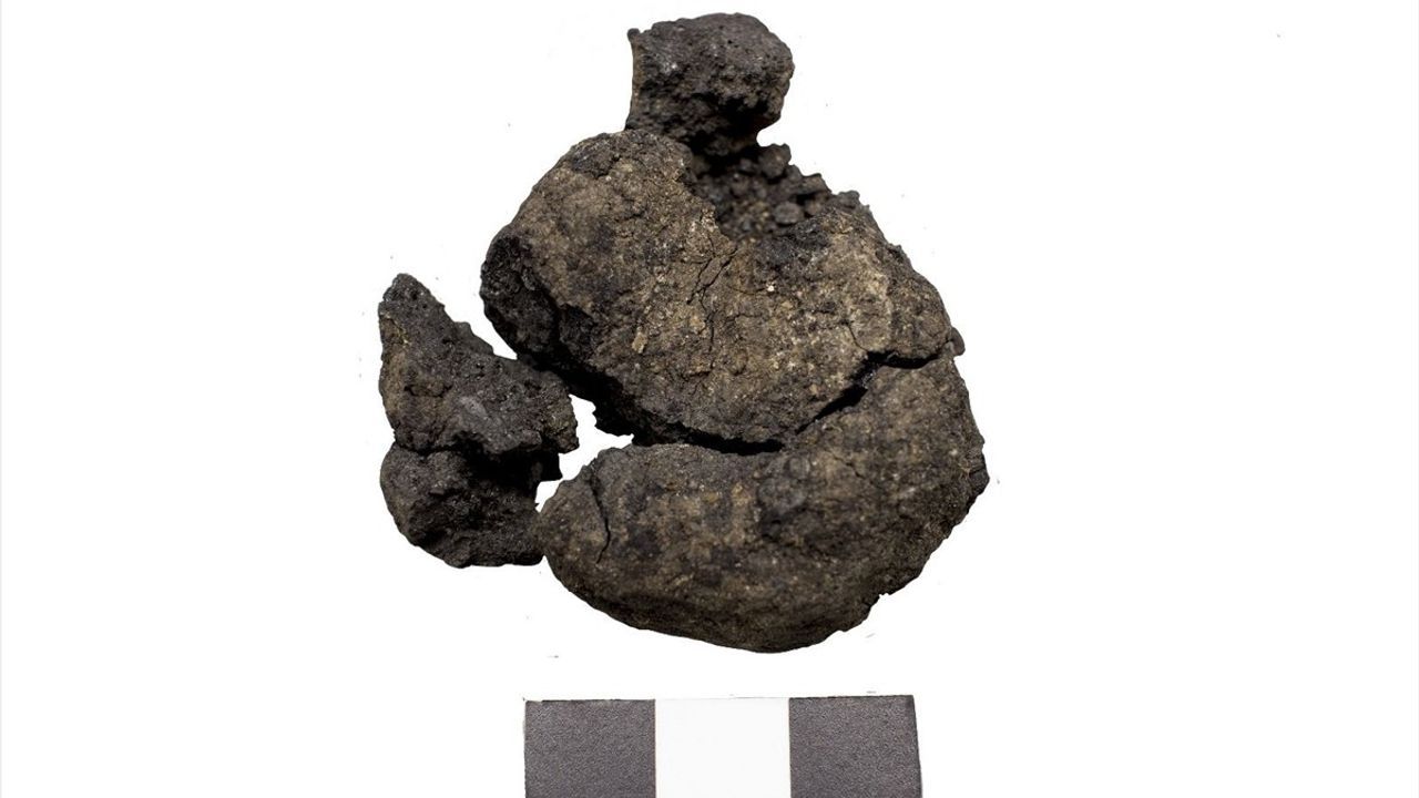 Tavşanlı'da 4 bin yıllık nohut, Çatalhöyük'te 8 bin 600 yıllık ekmek bulundu