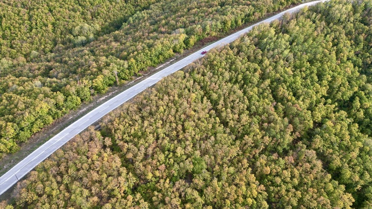 Tekirdağ Saray'da Sonbahar Renkleri: Kanara Kanyonu'nda Görsel Şölen