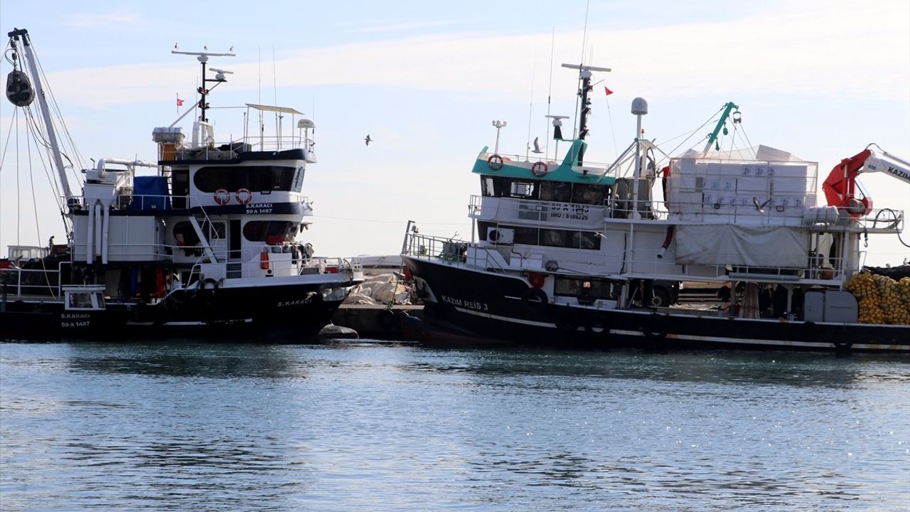 Tekirdağlı balıkçılar lüfer ve palamut için soğuk havayı bekliyor