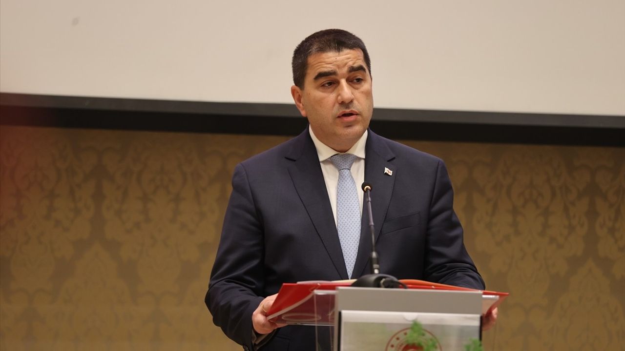 Tiflis'te Cumhuriyet'in 102. Yılı Resepsiyonu — Türkiye-Gürcistan İşbirliği Öne Çıktı