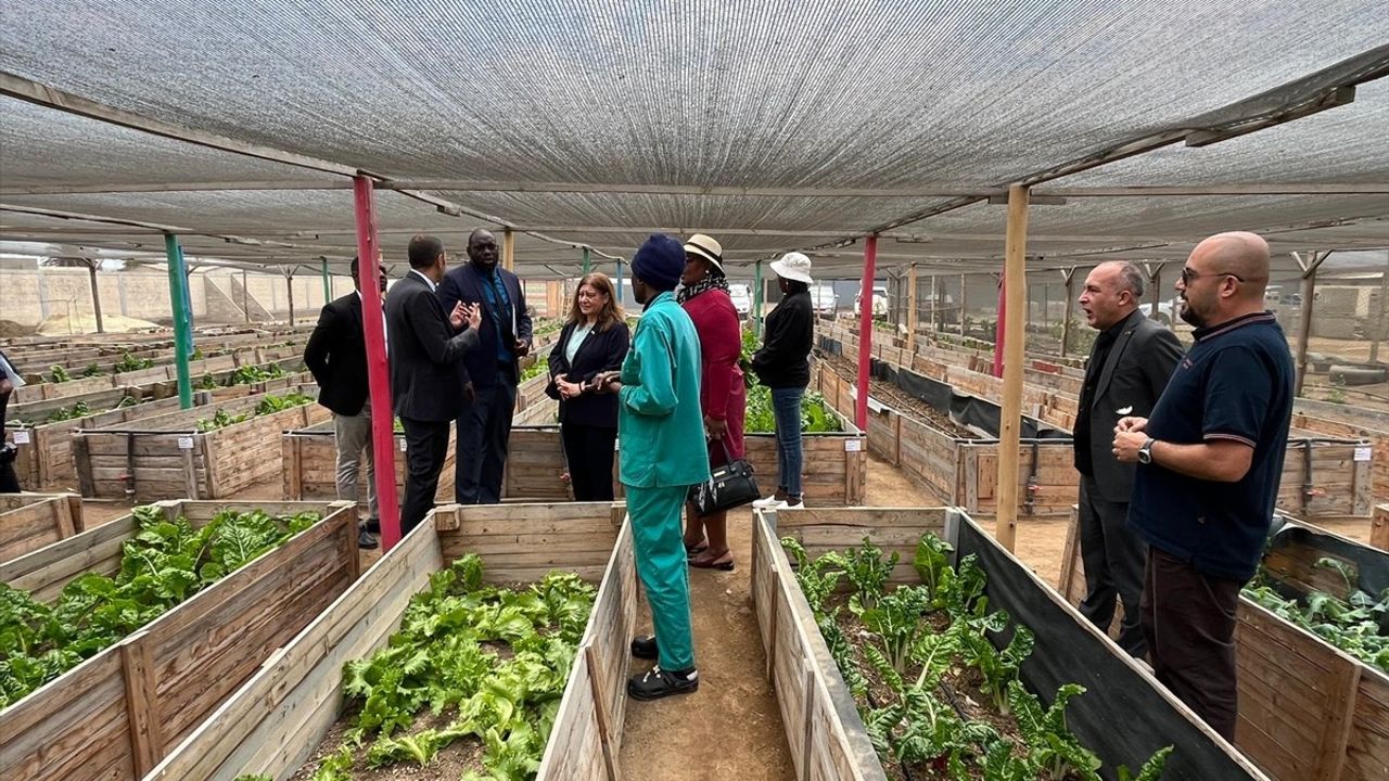 TİKA Namibya'da COSDEC'te Tuğla Atölyesi ve Tarım Projesini Tamamladı