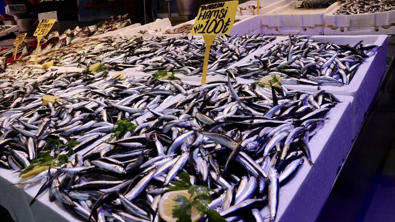 Trabzon'da Hamsi 100 Lira: Balık Tezgahlarında Yeni Fiyatlar