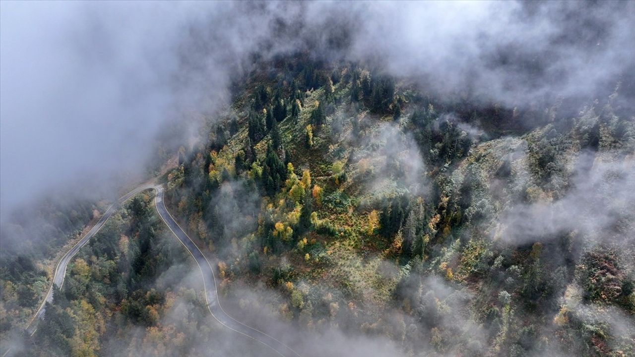 Trabzon'da Sonbahar Renkleri: Sisirna ve Karadağ Yaylaları