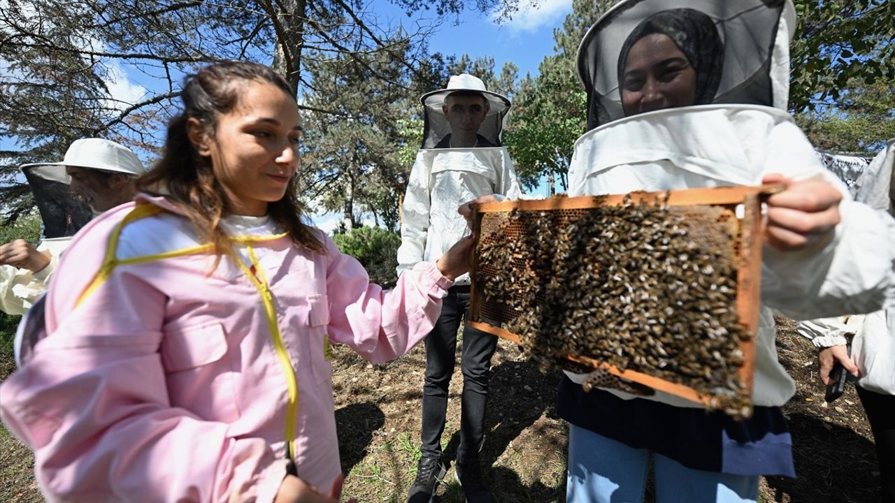 TÜBİTAK Destekli Projeyle Özel Gereksinimli Bireyler Arıların Dünyasını Keşfediyor
