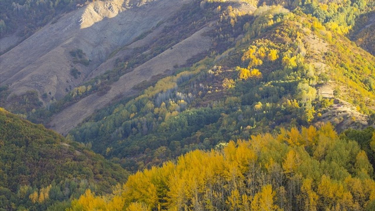 Tunceli'de Sonbahar Renkleri: Zirvelerde Ormanlar Sarardı
