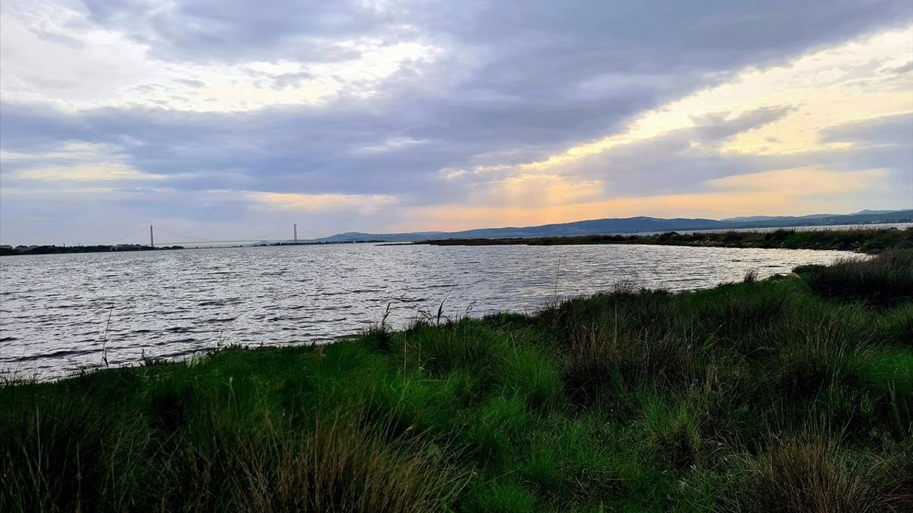 Türkiye'de 5 Yeni 'Mahalli Öneme Haiz Sulak Alan' İlanı