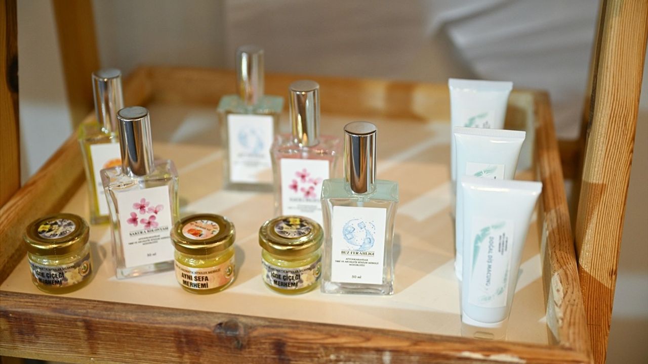 Türkiye'nin Flora Zenginliği: 12 Bin Tür, 4 Bin Endemik