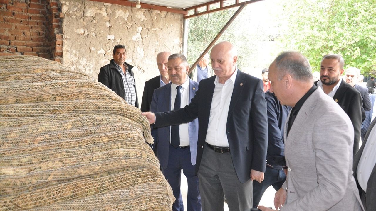 TZOB Başkanı Şemsi Bayraktar İzmir'de: Tütün, Nar ve Ayva Hasadı