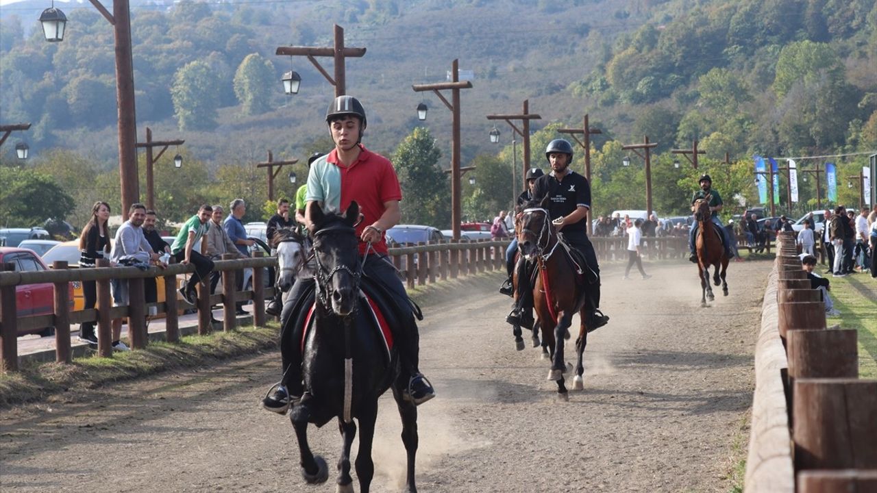 Ünye'de Cumhuriyet Kupası Rahvan At Yarışları