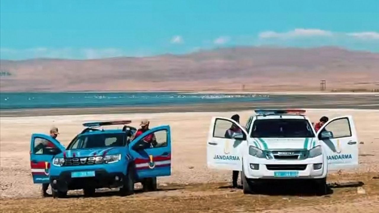 Van'da Erçek Gölü'ndeki flamingoları jandarma koruyor