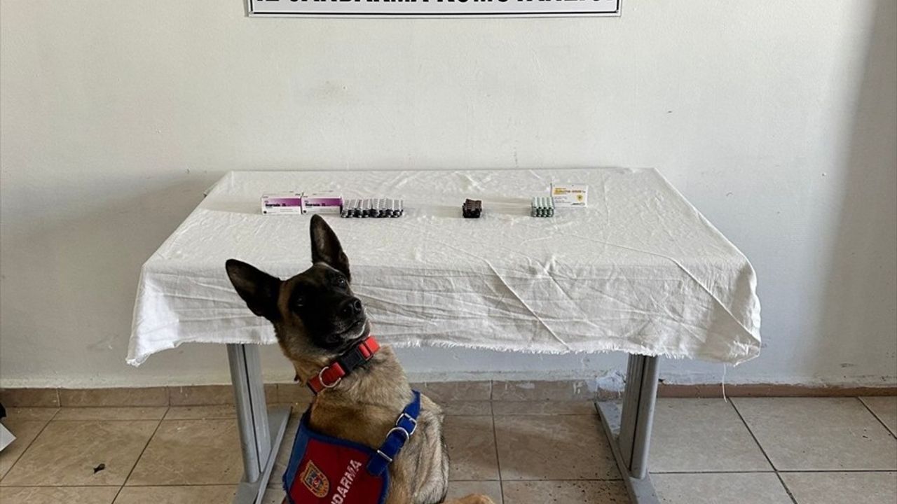 Van İpekyolu'nda İran Uyruklu Şüphelide 380 Sentetik Hap Ele Geçirildi