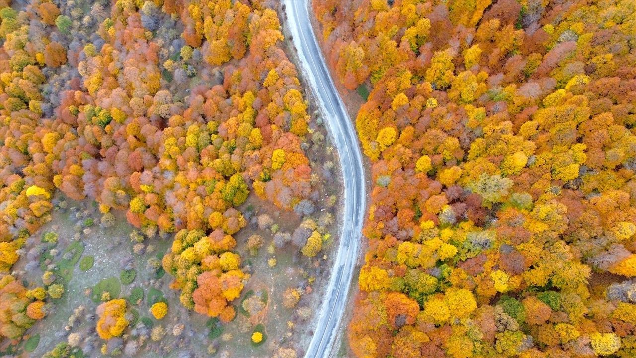 Yozgat'ta Sonbahar Büyüsü: Şebek Geçidi Dronla Görüntülendi