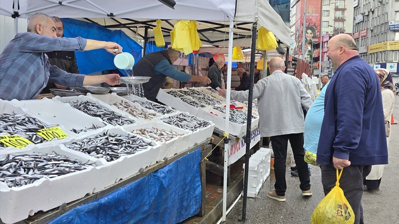 Zonguldak'ta Hamsi Bolluğu: Tezgahlarda Fiyatlar Düştü