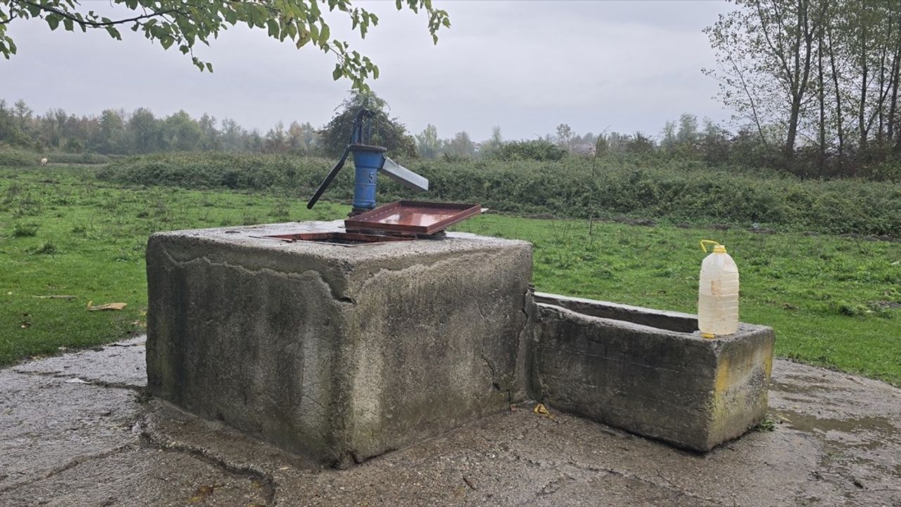 Zonguldak'ta Hasret Akkuzu Vakası: Şüpheli D.B. Aydın'da Yakalandı