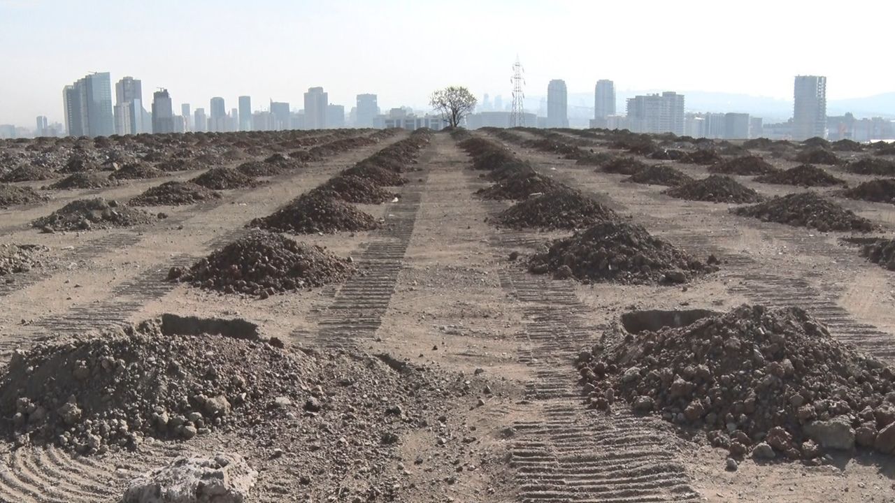 11 Kasım: Ankara'da 423 Bin Fidanla Yeşil Vatan Seferberliği