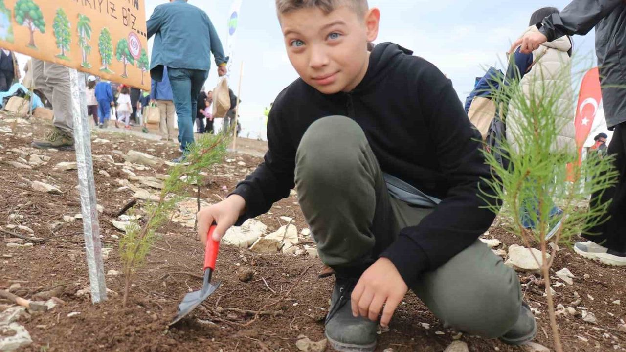 11 Kasım Milli Ağaçlandırma Günü: Sakarya'da 4 bin 500 Fidan Yanan Ormanı Yeniden Yeşertti
