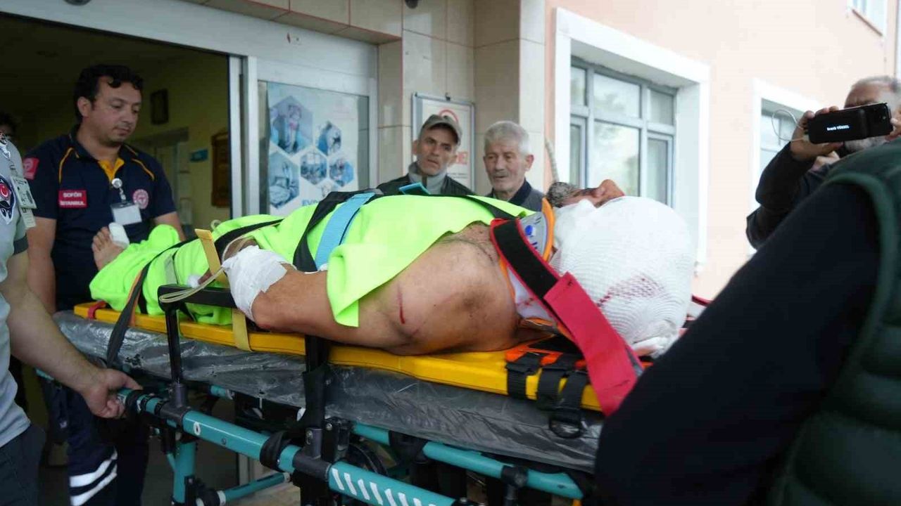 Abana'da imam mantar toplarken ayının saldırısına …