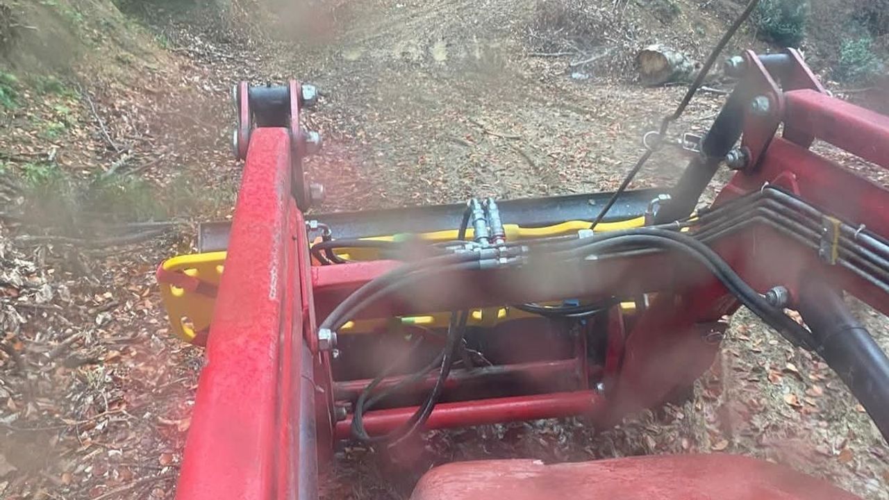 Abana’da Ormanda Ayı Saldırısı: Yaralı Vatandaş Hastaneye Sevk Edildi