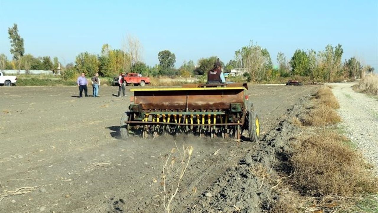 Adana'da 480 Dekarlık Mera İşgalden Kurtarıldı: Yem Bitkisi Ekimleri Başladı
