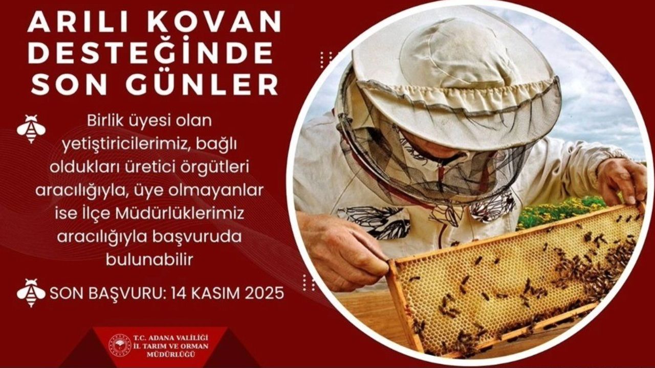 Adana'da Arılı Kovan Desteği İçin Son Başvuru: 14 Kasım 2025