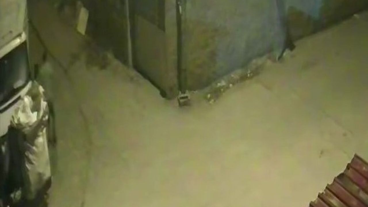 Adana'da kamyonetten hırsızlık güvenlik kamerasında — Ö.Y. tutuklandı