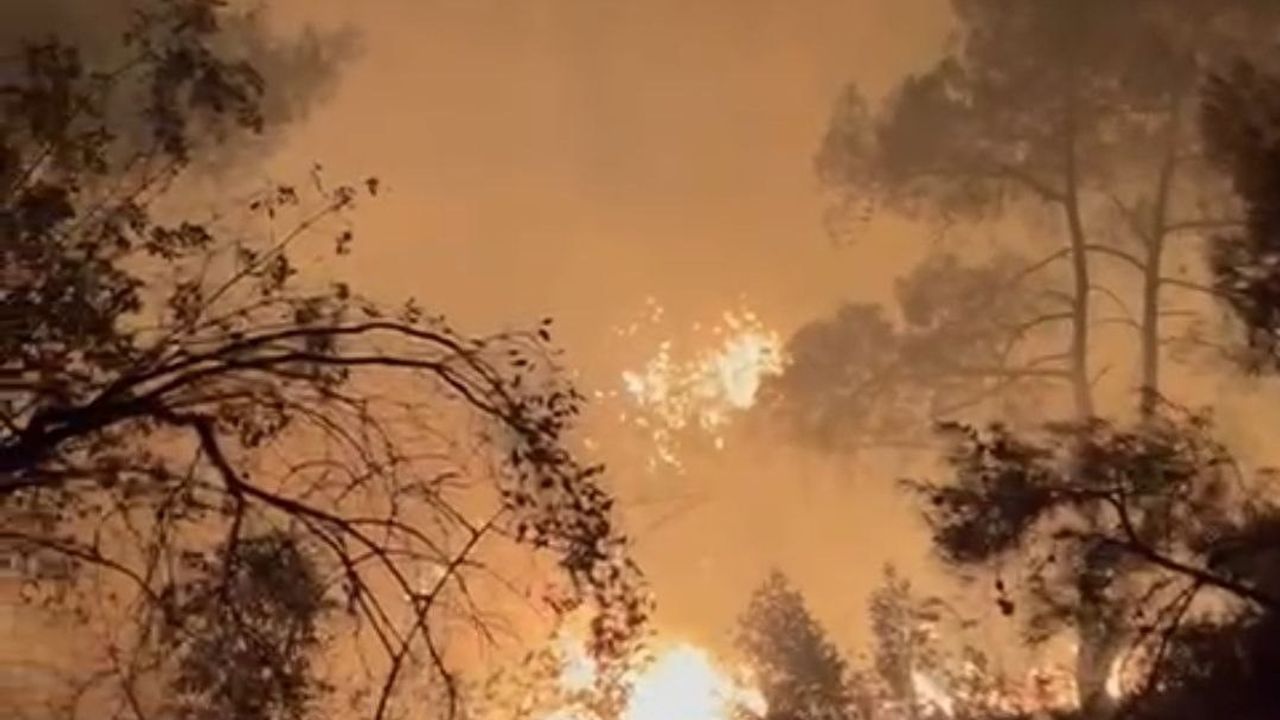 Adana'da Orman Yangını Büyümeden Söndürüldü