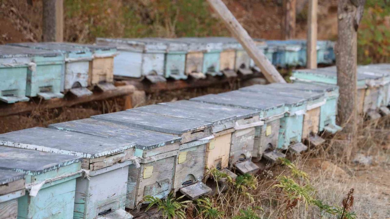 Adana'da Pastırma Sıcakları: Arılar Kovanlara Girmiyor