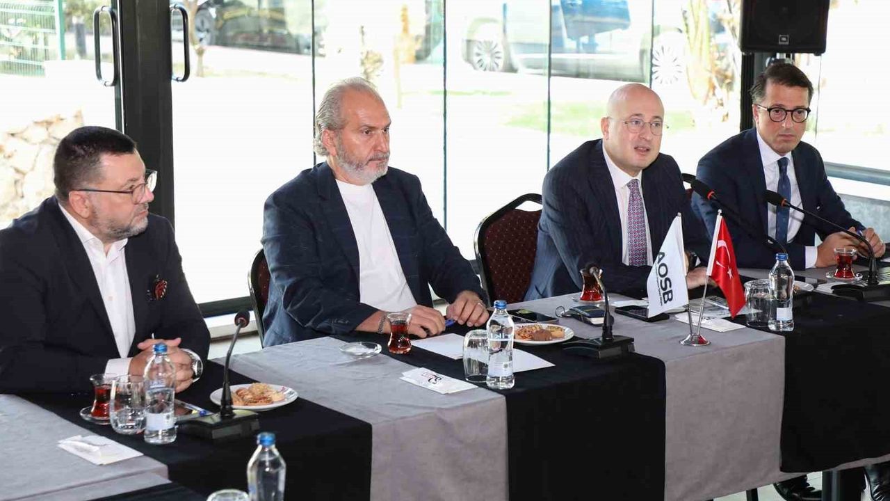 Adana Hacı Sabancı AOSB, Uluslararası Yatırımların Merkezi Olma Yolunda