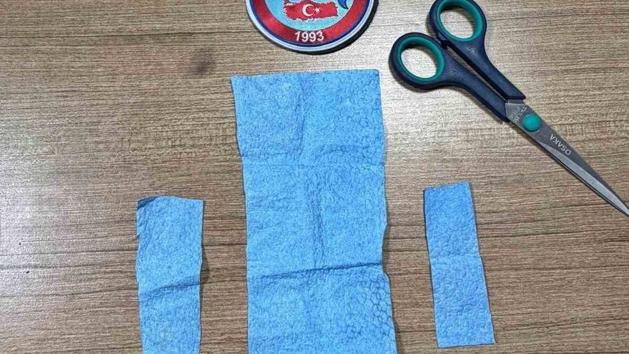 Afyonkarahisar'da Baskın: Saksılarda 46 Kök Kenevir Ele Geçirildi