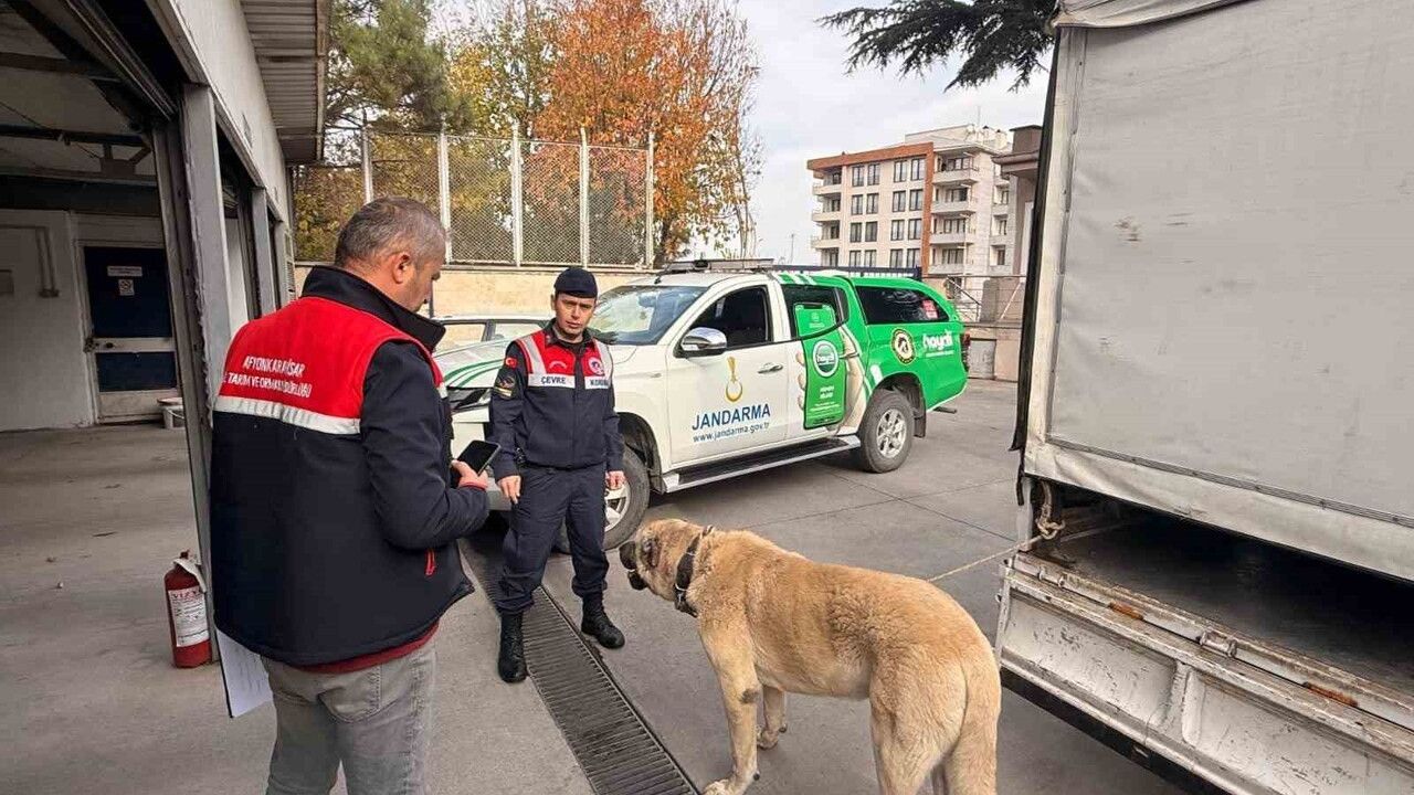 Afyonkarahisar'da Köpek Dövüşü Baskını: 12 Gözaltı